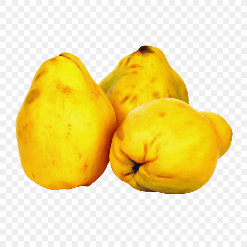 Yellow Food Plant Fruit Quince, PNG, 1000x1000px, Yellow, Food, Fruit, Plant, Quince Download Free