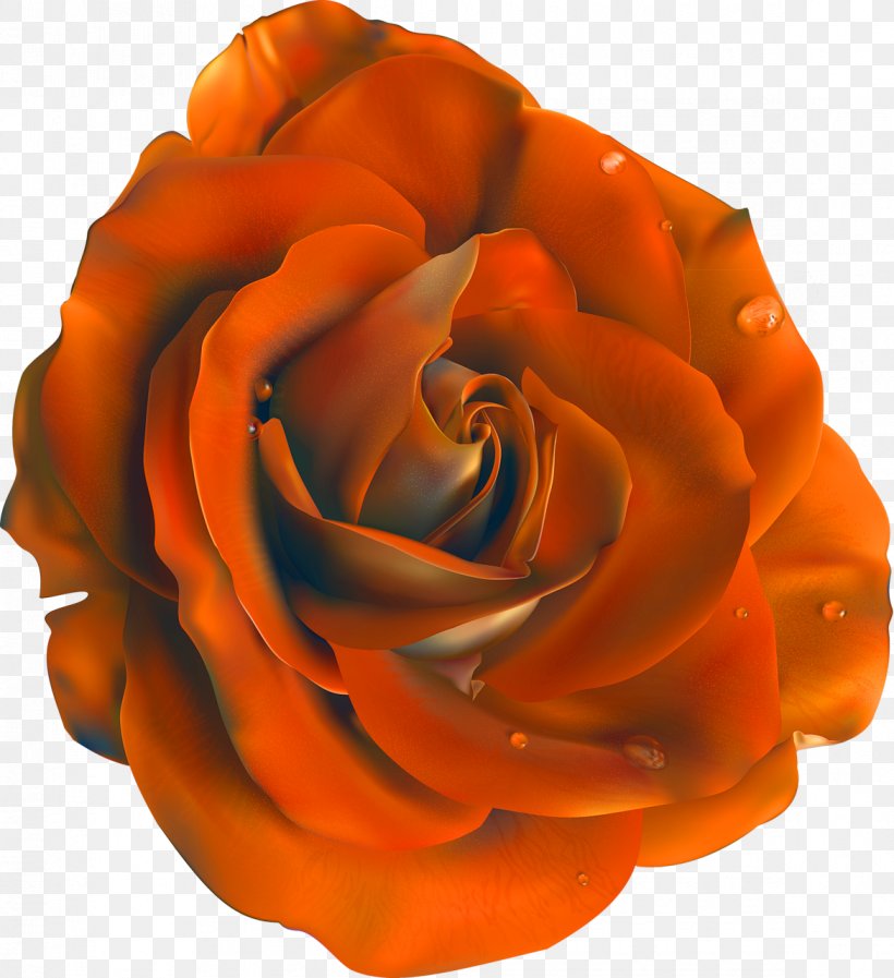 Blue Rose Flower Clip Art, PNG, 1170x1280px, Blue Rose, Blue, Cut Flowers, Flower, Garden Roses Download Free