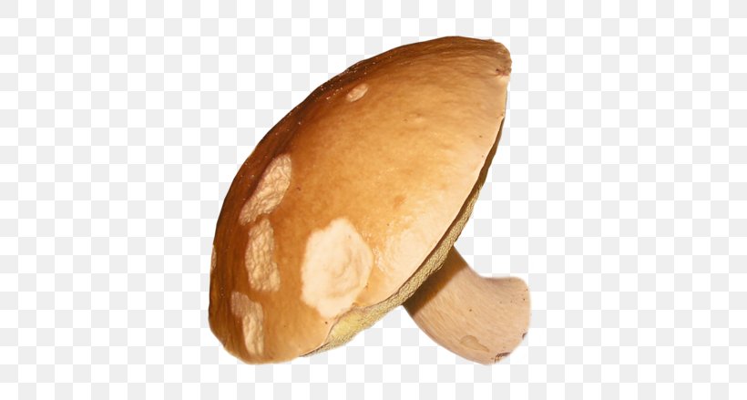 Bread, PNG, 500x439px, Bread, Mushroom Download Free