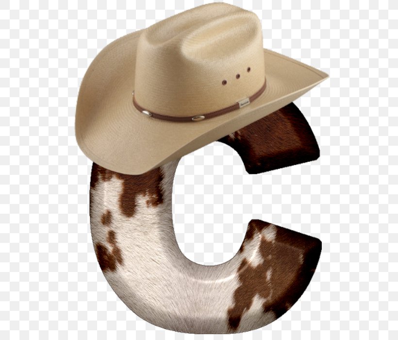 Cowboy Hat, PNG, 700x700px, Cowboy Hat, Clothing, Cowboy, Cowboy Boot, Hat Download Free