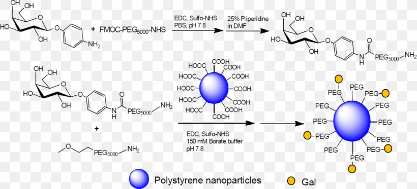 PEGylation Polyethylene Glycol Carbohydrate Mannose Technology, PNG, 1131x515px, Pegylation, Amine, Area, Blue, Carbohydrate Download Free