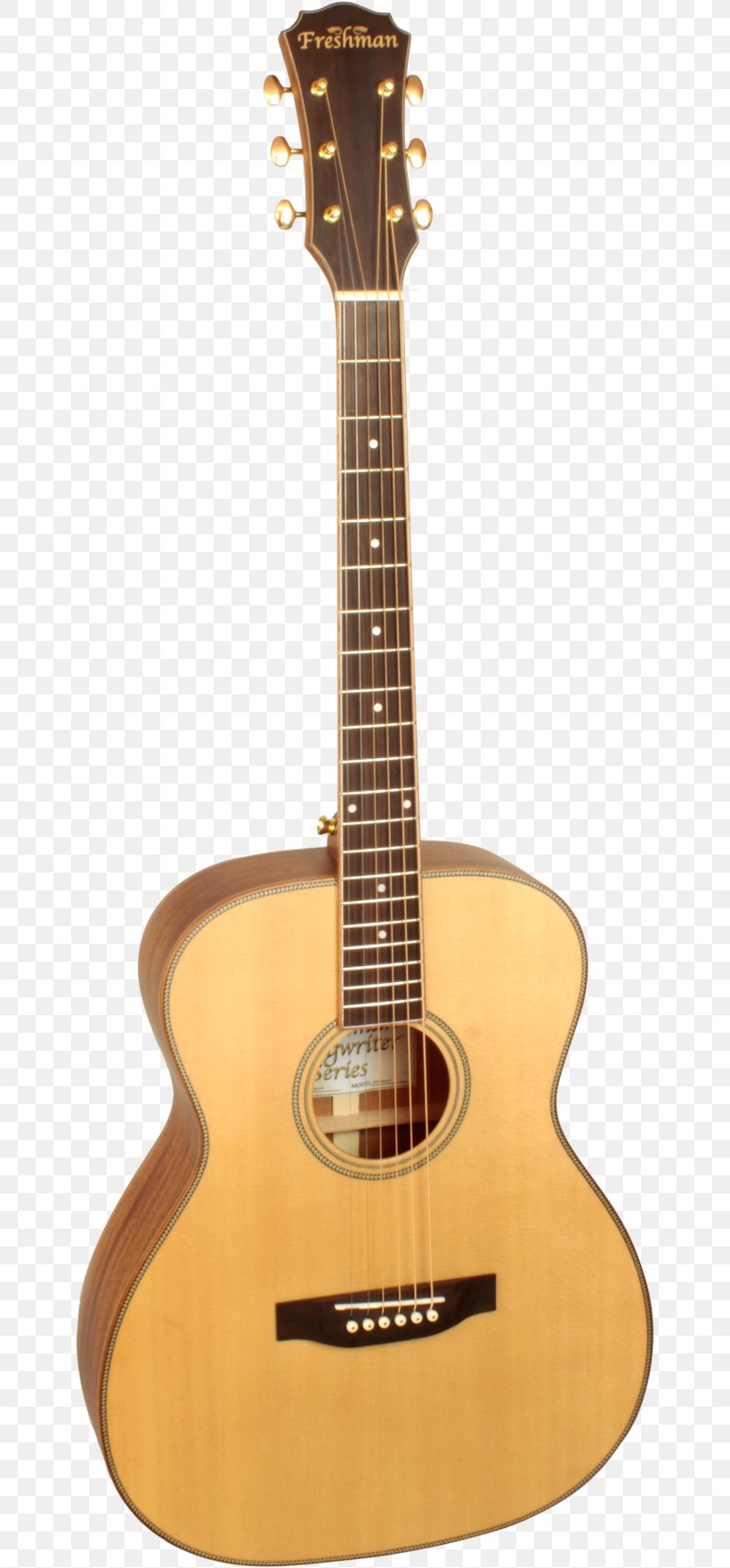 Twelve-string Guitar Acoustic Guitar Takamine Guitars Classical Guitar, PNG, 652x1761px, Watercolor, Cartoon, Flower, Frame, Heart Download Free