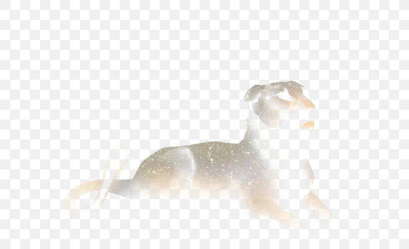 Cat Dog Canidae Desktop Wallpaper Mammal, PNG, 640x500px, Cat, Canidae, Carnivoran, Cat Like Mammal, Computer Download Free