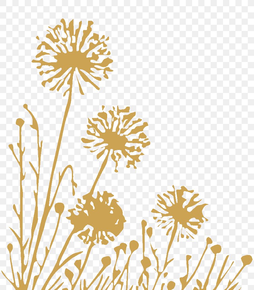 Dandelion Clip Art, PNG, 813x936px, Dandelion, Flora, Floral Design, Flower, Flowering Plant Download Free