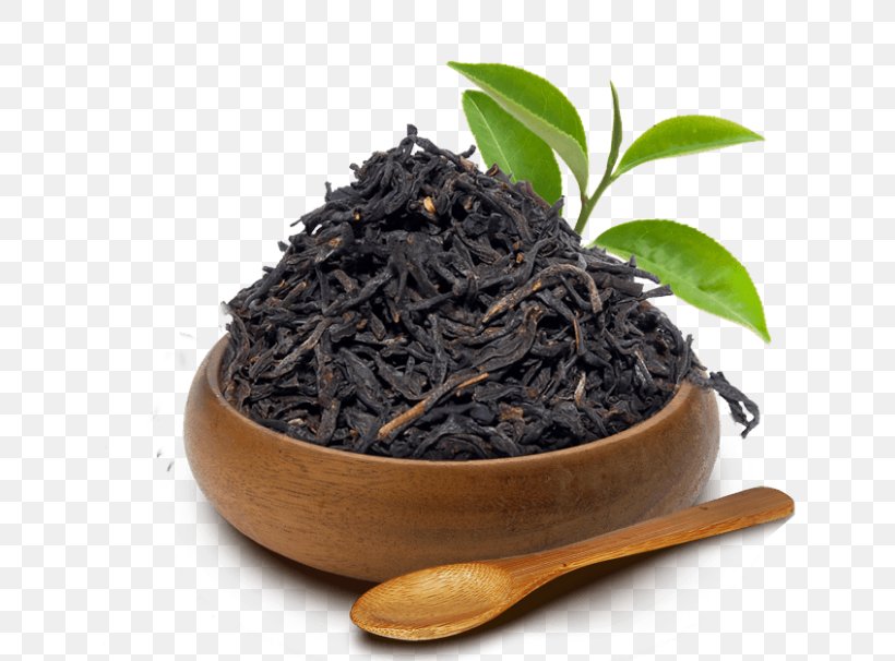 Dianhong Assam Tea Nilgiri Tea Oolong, PNG, 700x606px, Dianhong, Assam Tea, Bai Mudan, Bancha, Biluochun Download Free