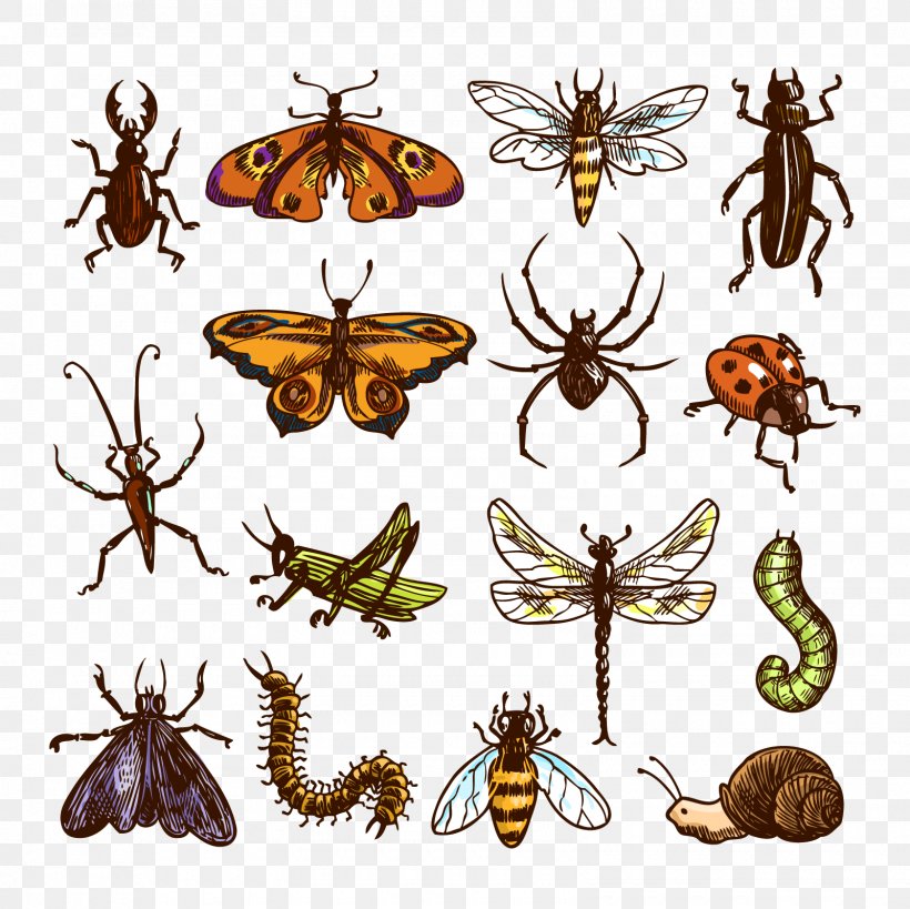 Insect Cockroach Royalty-free Clip Art, PNG, 1600x1600px, Insect, Arthropod, Brush Footed Butterfly, Butterfly, Centipedes Download Free