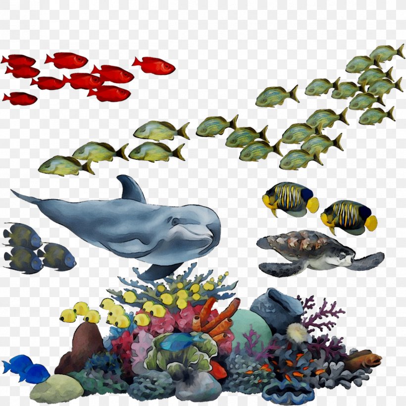 Fish Illustration Product Fauna Font, PNG, 1249x1249px, Fish, Animal Figure, Art, Coral Reef Fish, Fauna Download Free