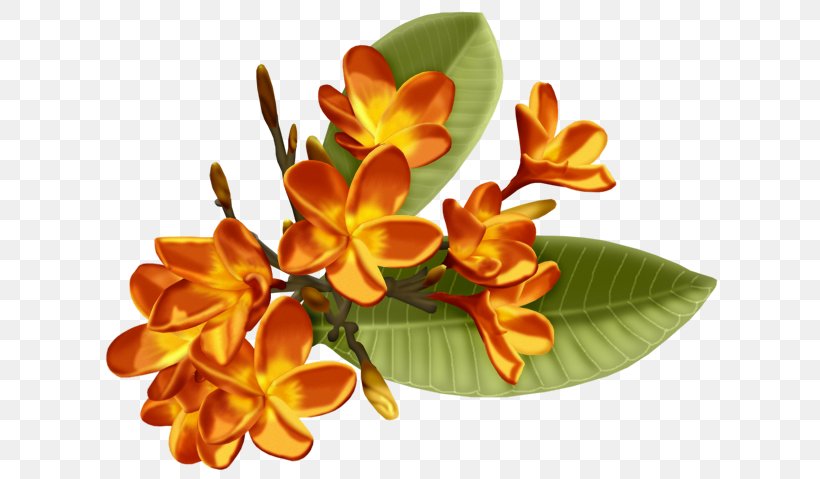 Floral Design Cut Flowers, PNG, 636x479px, 1000000, Floral Design, Cartoon, Cut Flowers, Floristry Download Free