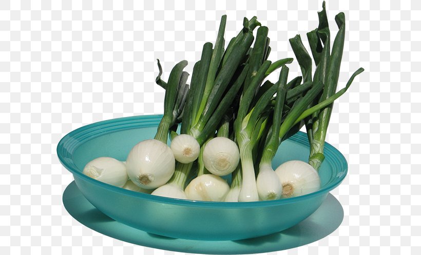 Scallion Onion Leaf Vegetable Garlic, PNG, 600x497px, Scallion, Dish, Food, Fruit Vegetable, Garlic Download Free