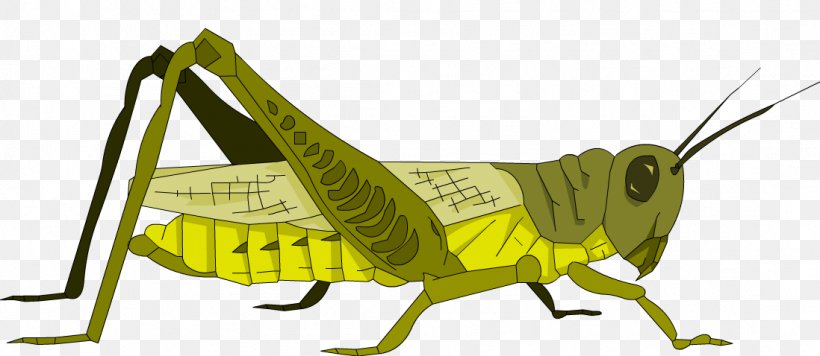 Clip Art Grasshopper Image Illustration, PNG, 1098x478px, Grasshopper, Animal Figure, Arthropod, Cartoon, Cricket Download Free