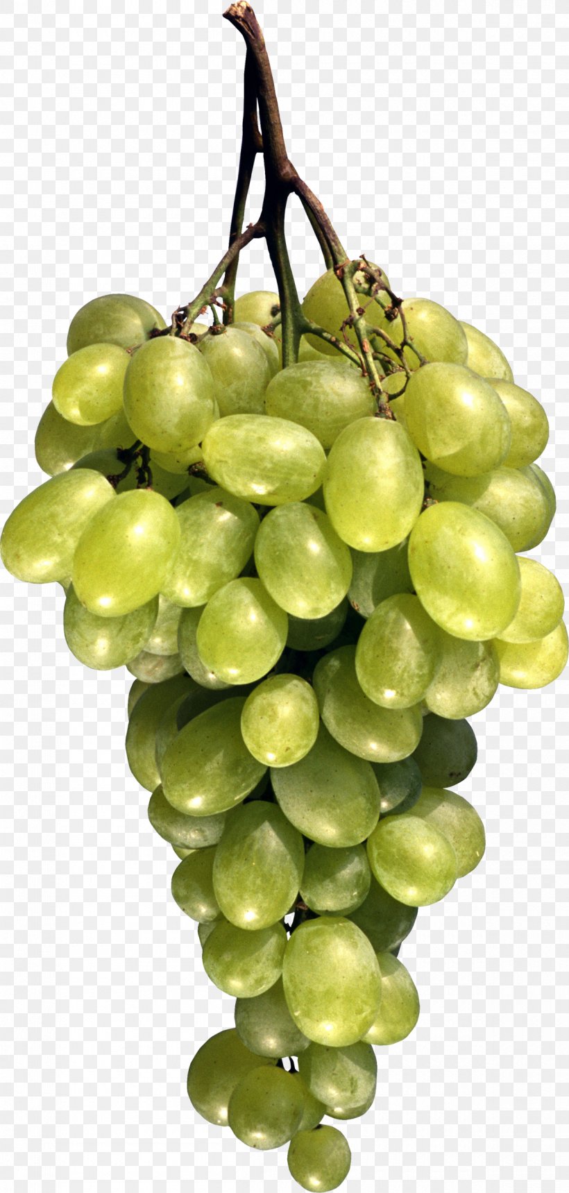 Grape Seed Oil Fruit Berry, PNG, 1200x2516px, Grape, Berry, Climacteric, Food, Fruit Download Free