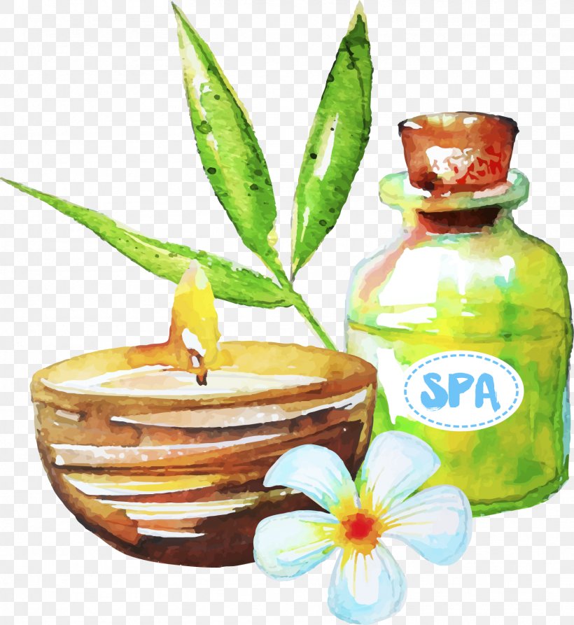 Spa Essential Oil, PNG, 1561x1700px, Spa, Aromatherapy, Cosmetics, Cosmetology, Drawing Download Free