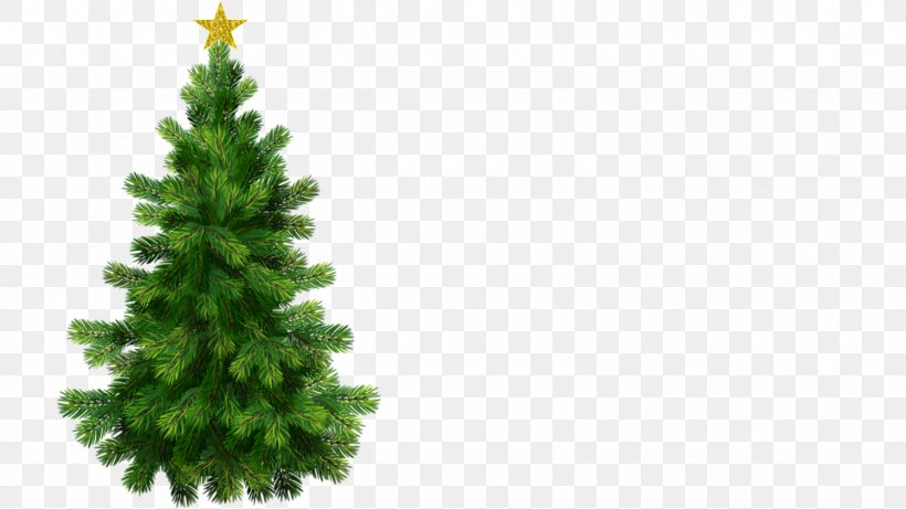 Tree Fir Scots Pine Clip Art, PNG, 1600x900px, Tree, Branch, Christmas Decoration, Christmas Ornament, Christmas Tree Download Free