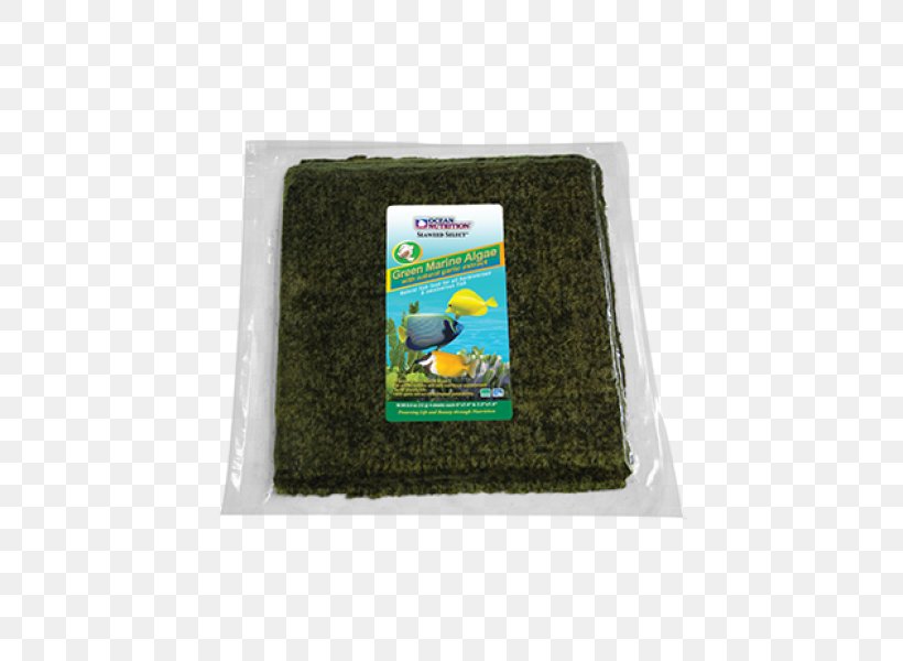Algae Food Seaweed Fish, PNG, 800x600px, Algae, Fish, Food, Grass, Green Download Free