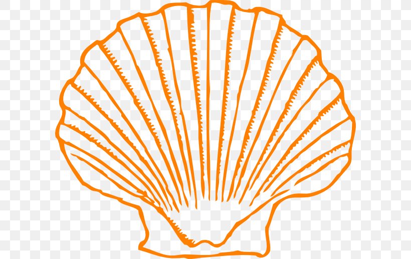 Clip Art Seashell Mollusc Shell Image Openclipart, PNG, 600x517px, Seashell, Area, Beach, Chambered Nautilus, Drawing Download Free