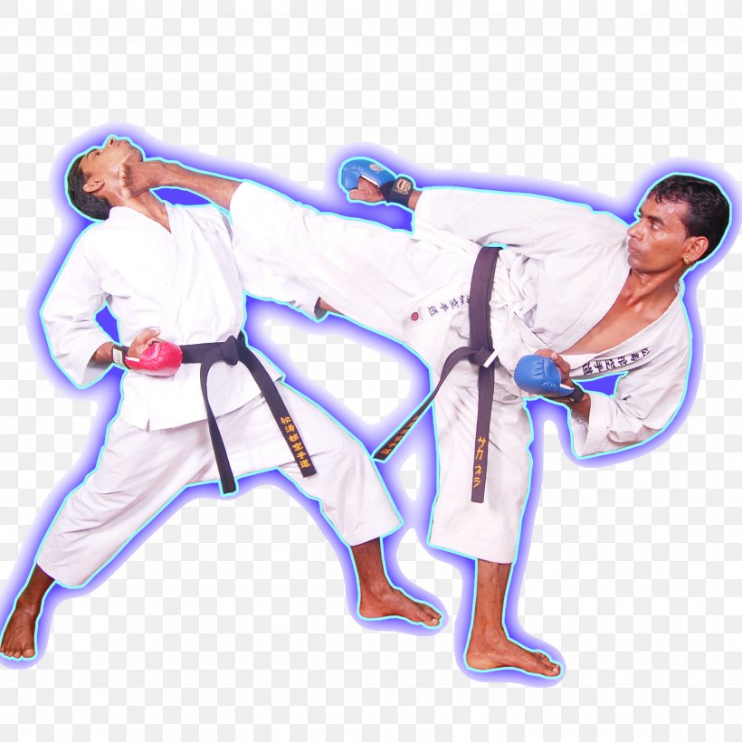 Karate Gi Kick Dan, PNG, 2048x2048px, Karate, Arm, Blue, Combat Sport, Costume Download Free