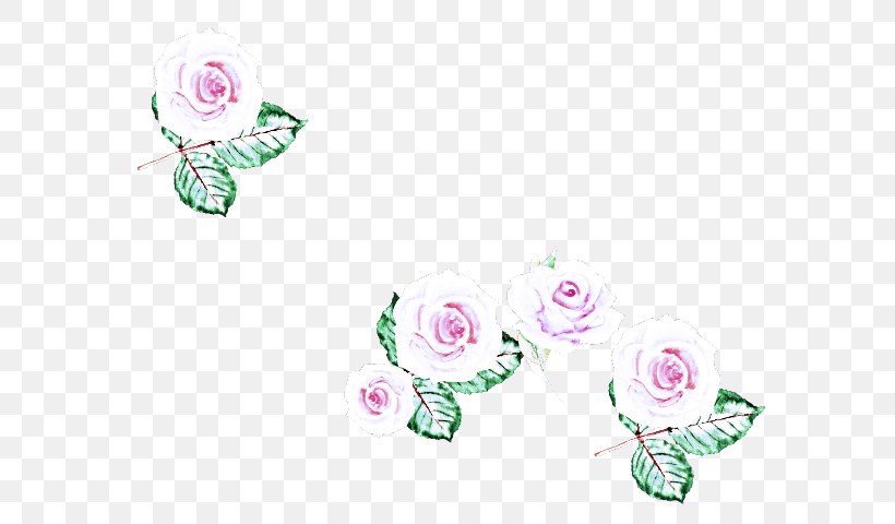 Pink Plant Flower Magenta Clip Art, PNG, 617x480px, Pink, Flower, Magenta, Plant Download Free
