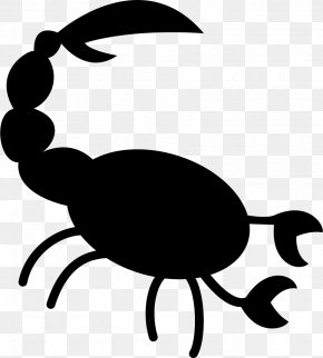 Scorpion - Scorpion Clip Art Vector Graphics PNG