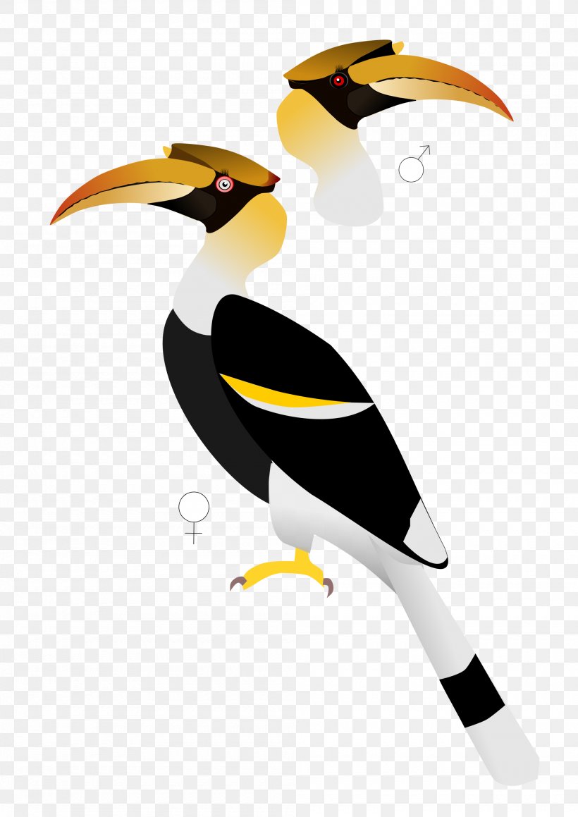 Indian Roller Bird Parrot Great Hornbill, PNG, 2000x2828px, India, African Grey Hornbill, Animal, Beak, Bird Download Free