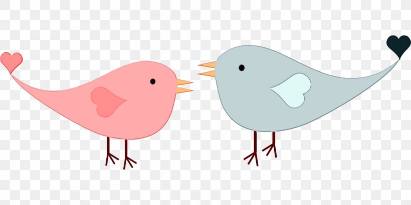 Songbird Perching Bird - Love Birds Drawing PNG