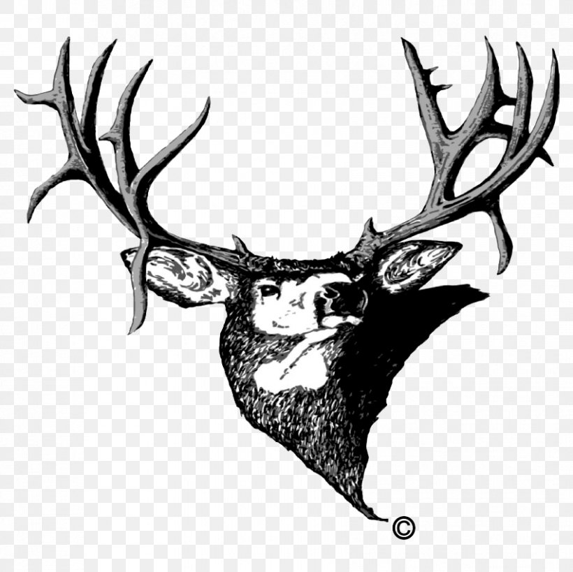 Muley Fanatic Foundation Colorado Organization White-tailed Deer, PNG, 851x850px, Colorado, Antler, Deer, Drawing, Elk Download Free