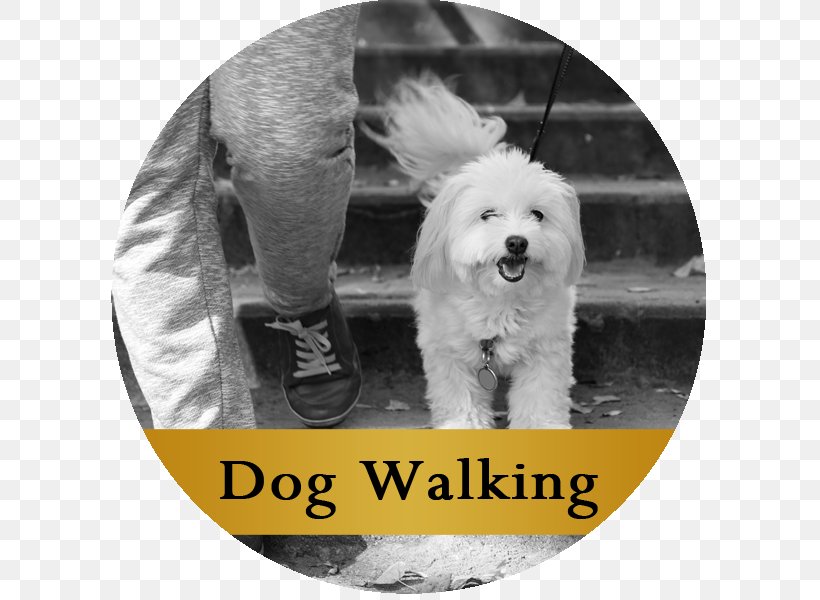 Puppy Dog Breed A Better Way Pet Sitting Service, PNG, 600x600px, Puppy, Black And White, Carnivoran, Dog, Dog Breed Download Free