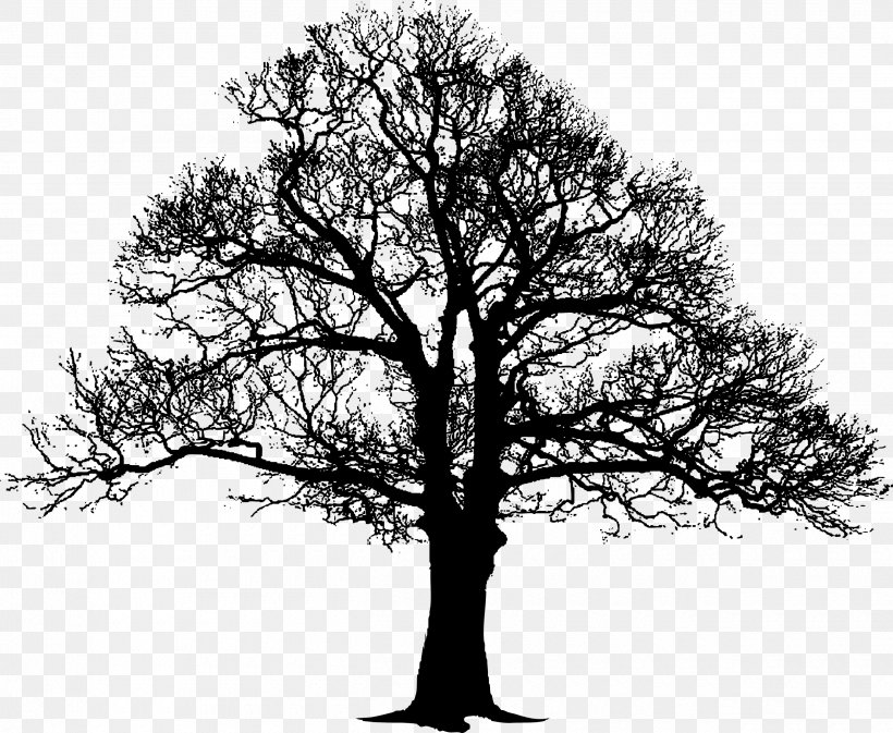 Silhouette Clip Art, PNG, 2500x2052px, Silhouette, Black And White, Branch, Drawing, Monochrome Download Free