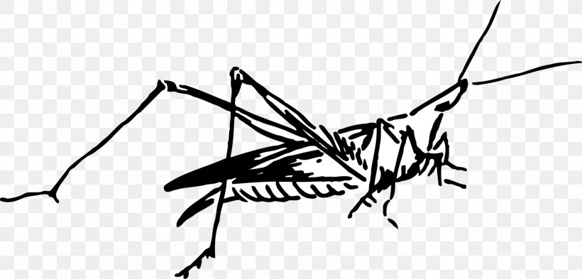 Insect Mosquito, PNG, 1800x864px, Insect, Animal, Art, Arthropod, Black And White Download Free