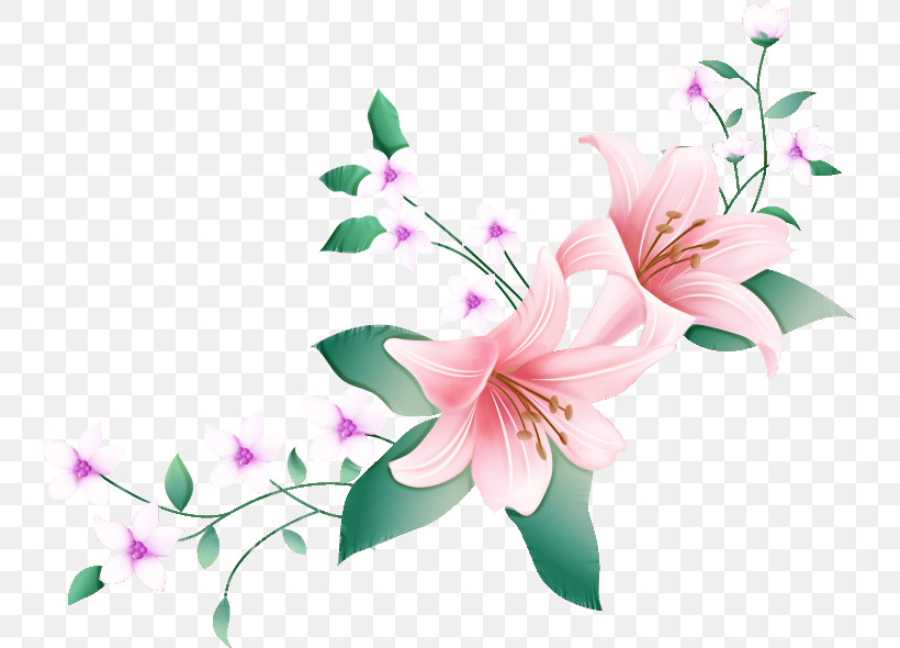 Lily Flower, PNG, 741x590px, Lily Flower, Arumlily, Floral Design, Floral Frame, Flower Download Free