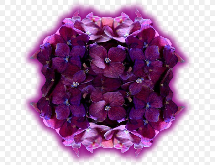 Hydrangea Cut Flowers Petal Purple Art, PNG, 655x632px, Hydrangea, Analisi Delle Serie Storiche, Art, Cornales, Cut Flowers Download Free