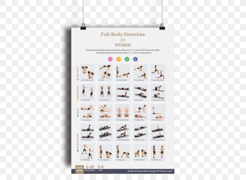 Stretching Bodyweight Exercise Flexibility Dumbbell, PNG, 461x599px, Stretching, Active Stretching, Bodyweight Exercise, Dumbbell, Exercise Download Free