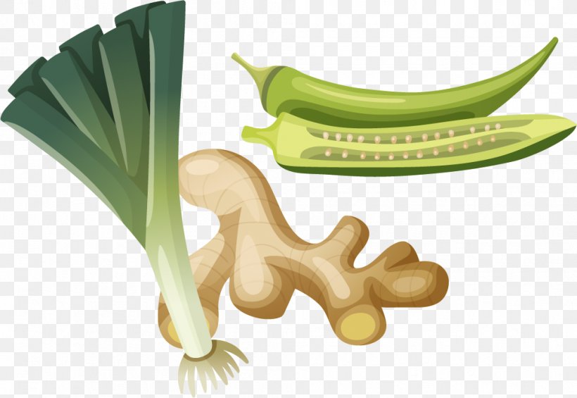 Vegetable Food Okra Illustration, PNG, 1008x695px, Vegetable, Banana, Banana Family, Capsicum Annuum, Cartoon Download Free
