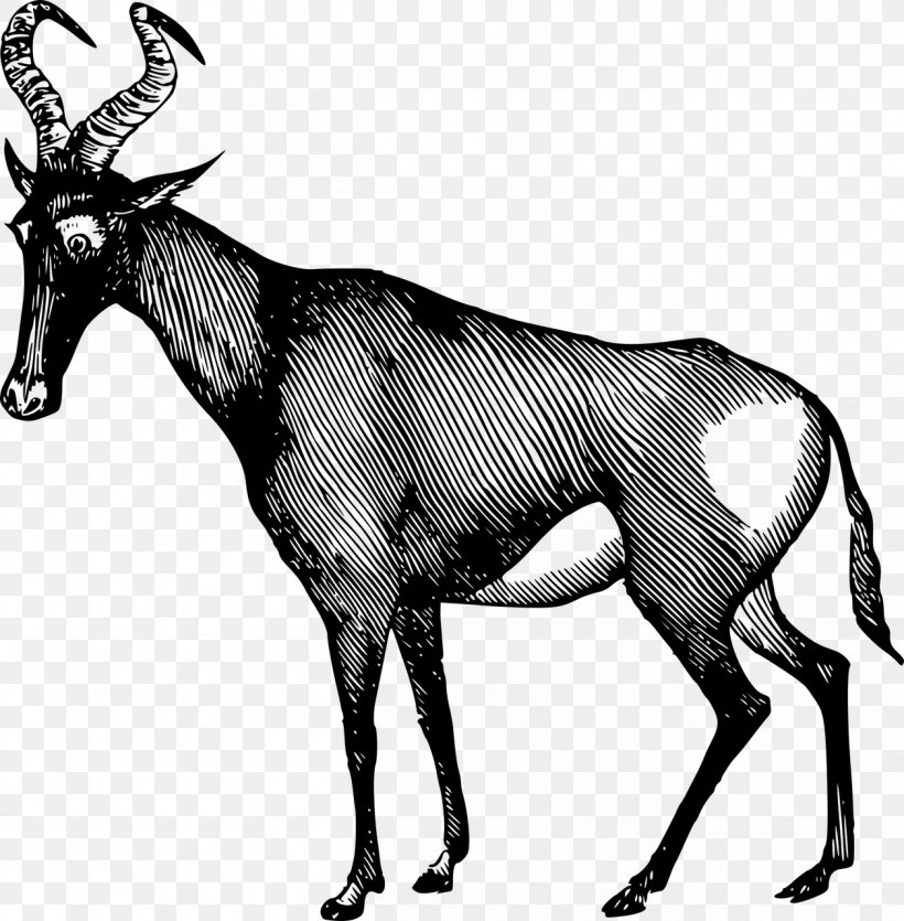 Antelope Gazelle Clip Art, PNG, 1257x1280px, Antelope, Antler, Art, Black And White, Cattle Like Mammal Download Free