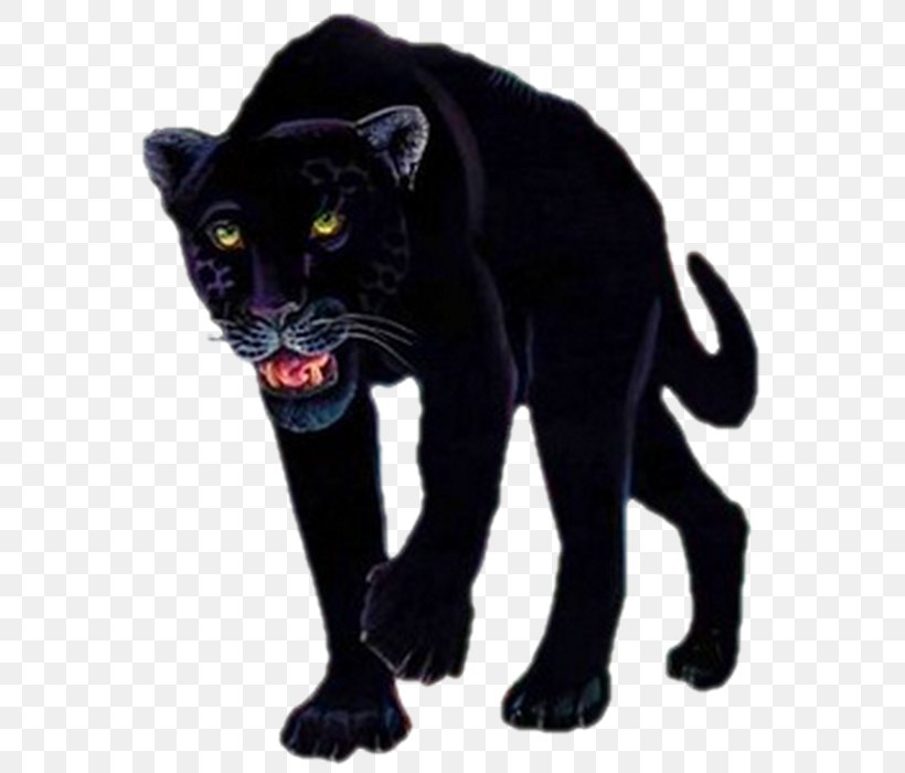 Black Panther Tiger Lion Leopard, PNG, 623x700px, Black Panther, Animal, Big Cats, Black, Black Cat Download Free