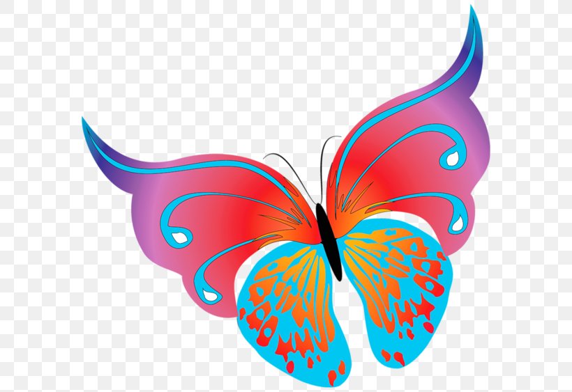 Butterfly Clip Art, PNG, 600x563px, Butterfly, Blog, Brush Footed Butterfly, Document, Drawing Download Free