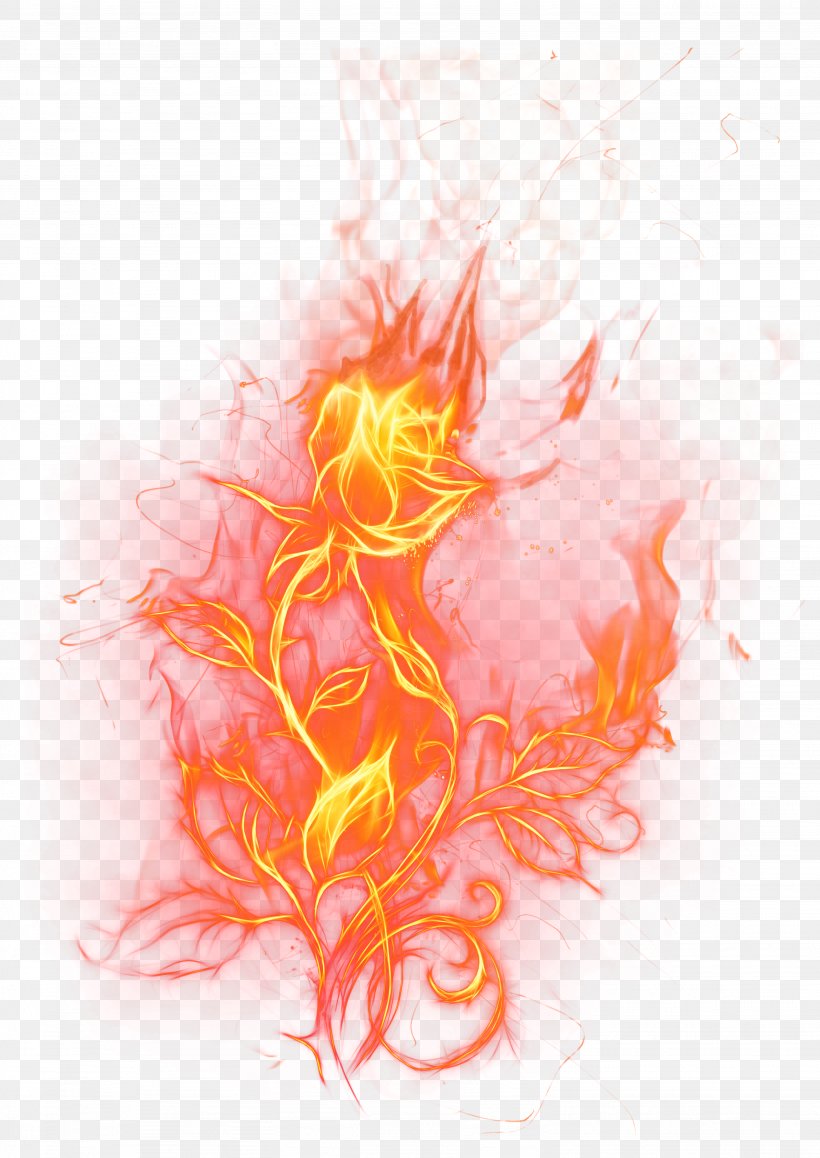 Light Rose Fire Clip Art, PNG, 3074x4344px, Light, Art, Color, Fire, Flame Download Free