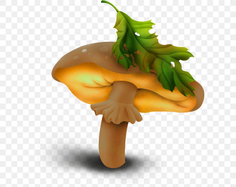 Mushroom Shiitake Clip Art, PNG, 600x650px, Mushroom, Drawing, Flowerpot, Food, Produce Download Free