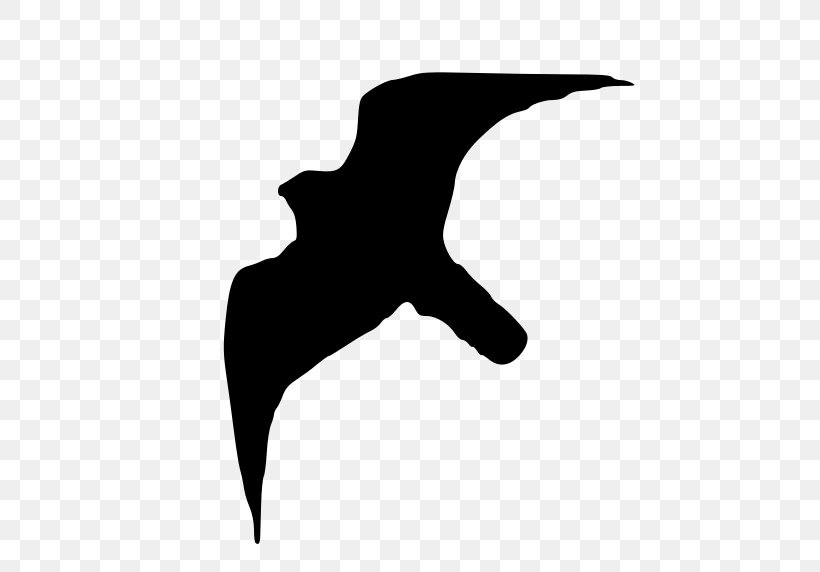 Peregrine Falcon Bird Drawing, PNG, 600x572px, Peregrine Falcon, Beak, Bird, Black, Black And White Download Free