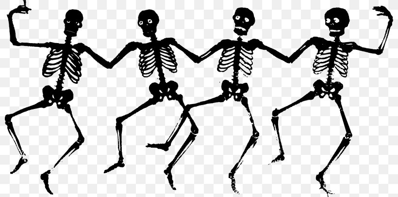 Skeleton Free Content Clip Art, PNG, 800x407px, Skeleton, Animation, Art, Black And White, Cartoon Download Free