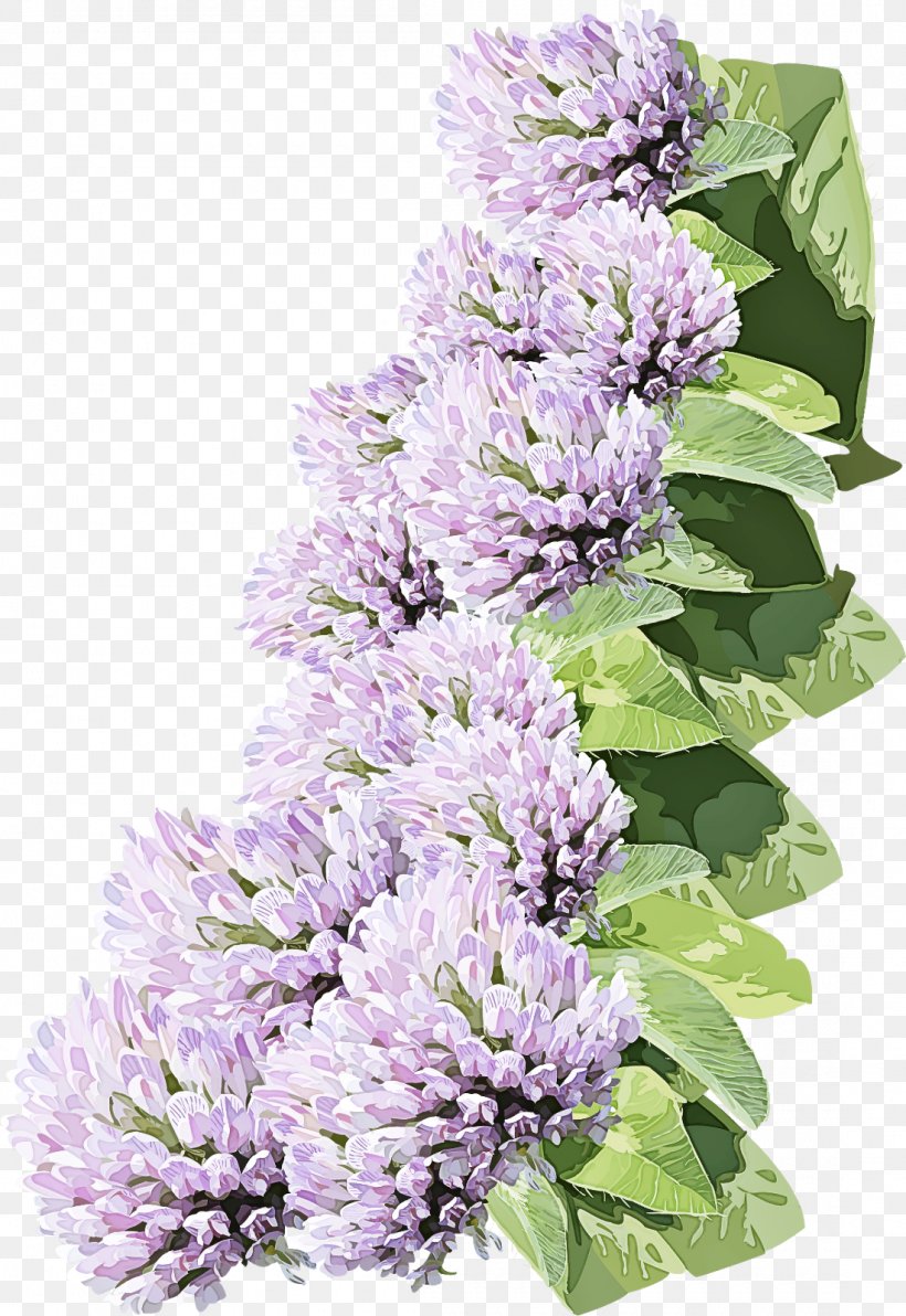 Lavender, PNG, 1100x1600px, Lilac, Buddleia, Flower, Flowering Plant, Lavender Download Free