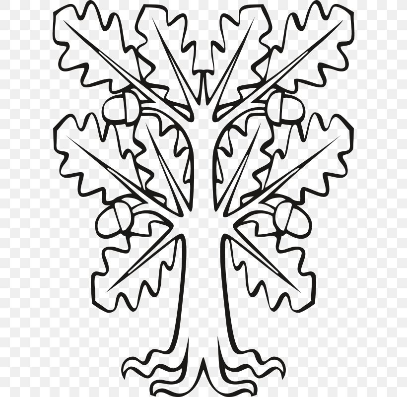 Branch Clip Art English Oak Leaf Sessile Oak, PNG, 610x800px, Branch, Acorn, Bark, Black And White, Drawing Download Free