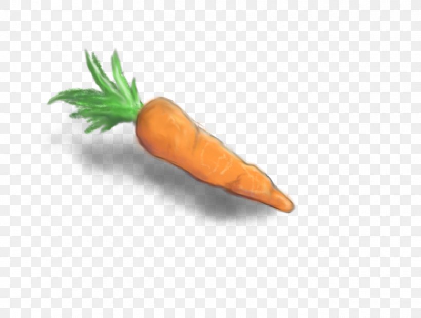Carrot Vegetable Food Drawing Sketch, PNG, 1350x1020px, Carrot, Art, Baby Carrot, Coloring Book, Drawing Download Free