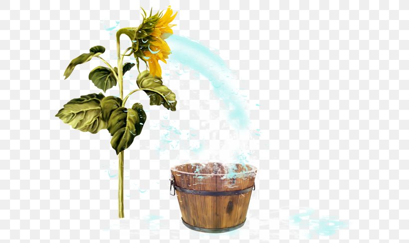 Common Sunflower Clip Art Psd, PNG, 600x487px, Common Sunflower, Daisy Family, Digital Image, Flower, Flowerpot Download Free