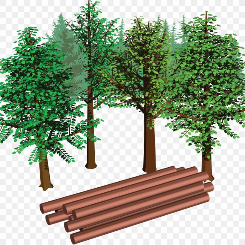 Energy Density Wood Fuel Straw, PNG, 1500x1500px, Energy Density, Barley, Branch, Crop, Energy Download Free