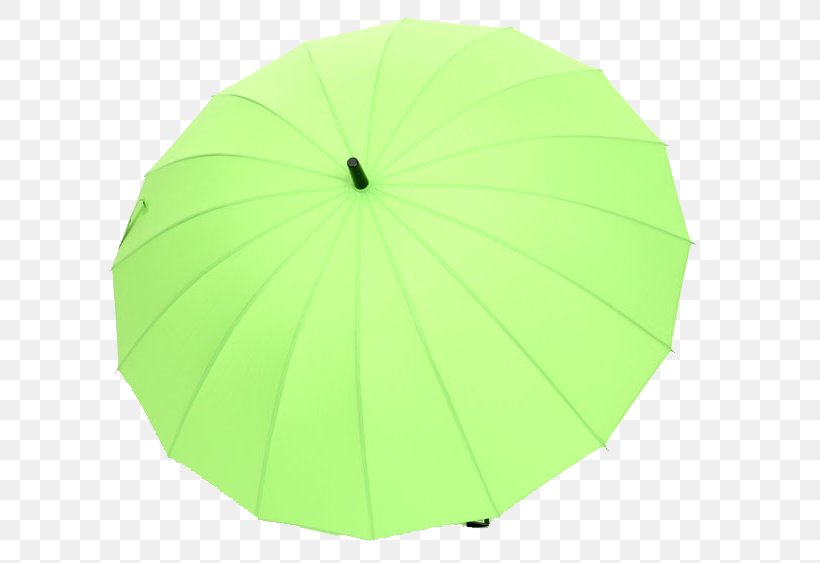 Green Umbrella Angle, PNG, 750x563px, Green, Umbrella, Yellow Download Free