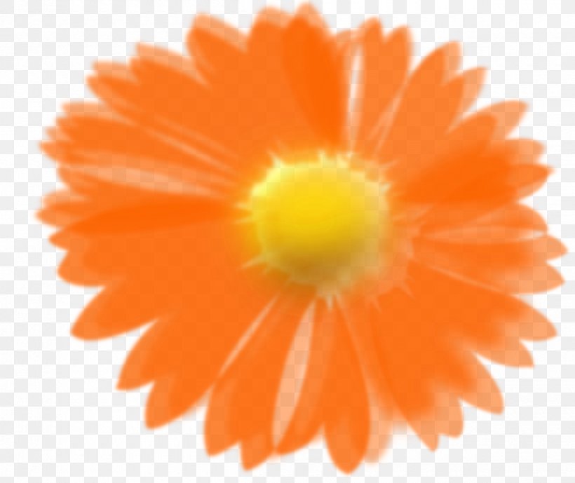 Orange Flower Clip Art, PNG, 2400x2018px, Orange, Calendula, Daisy Family, Drawing, Flower Download Free