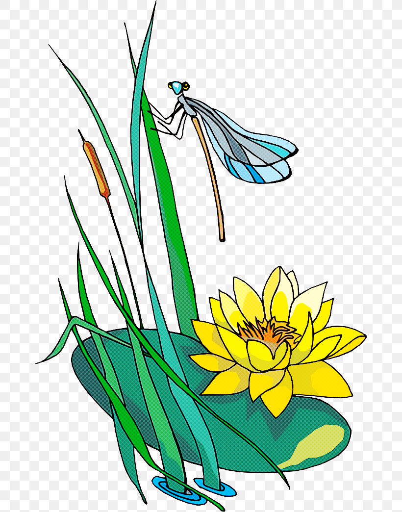 Plant Flower Yellow Grass Coloring Book, PNG, 678x1044px, Plant, Aquatic Plant, Coloring Book, Flower, Grass Download Free