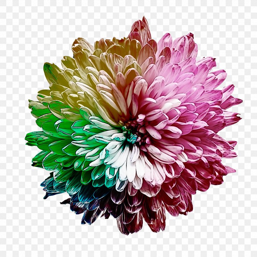 Artificial Flower, PNG, 3000x3000px, Flower, Annual Plant, Artificial Flower, Chrysanthemum, Cut Flowers Download Free