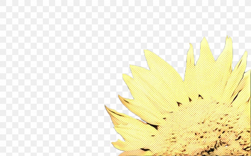 Cartoon Sunflower, PNG, 1600x999px, Yellow, Commodity, Computer, Flower, Gerbera Download Free