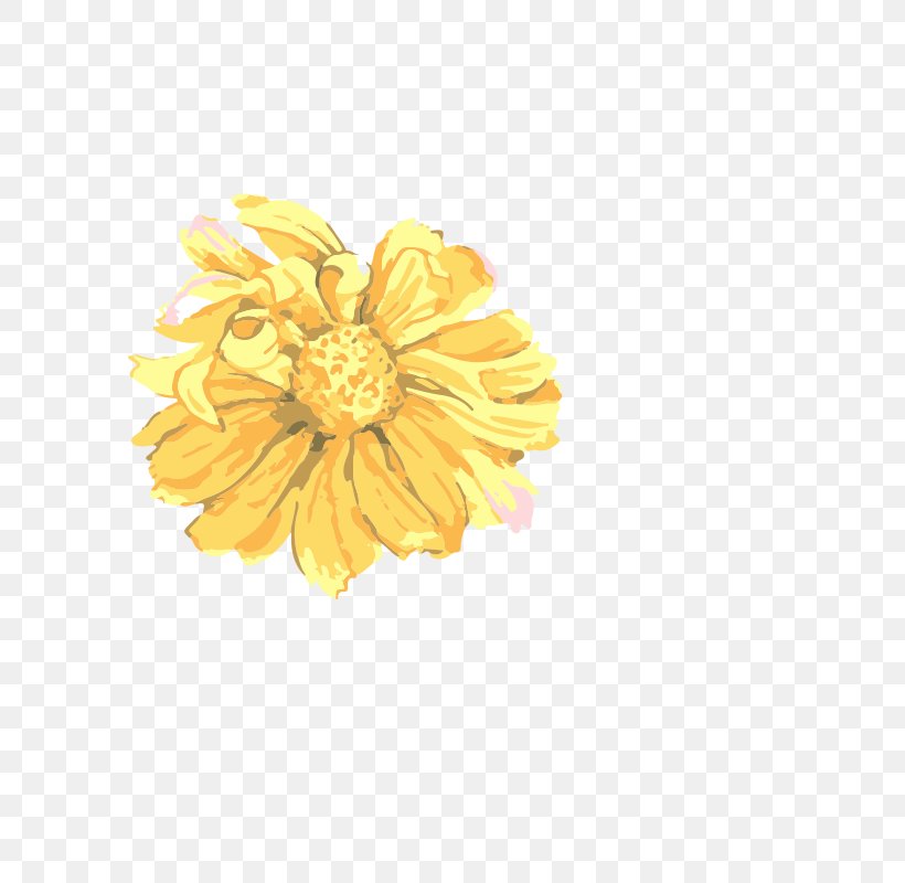 Chrysanthemum Yellow Petal Jewellery Human Body, PNG, 800x800px, Chrysanthemum, Body Jewelry, Chrysanths, Daisy Family, Flower Download Free